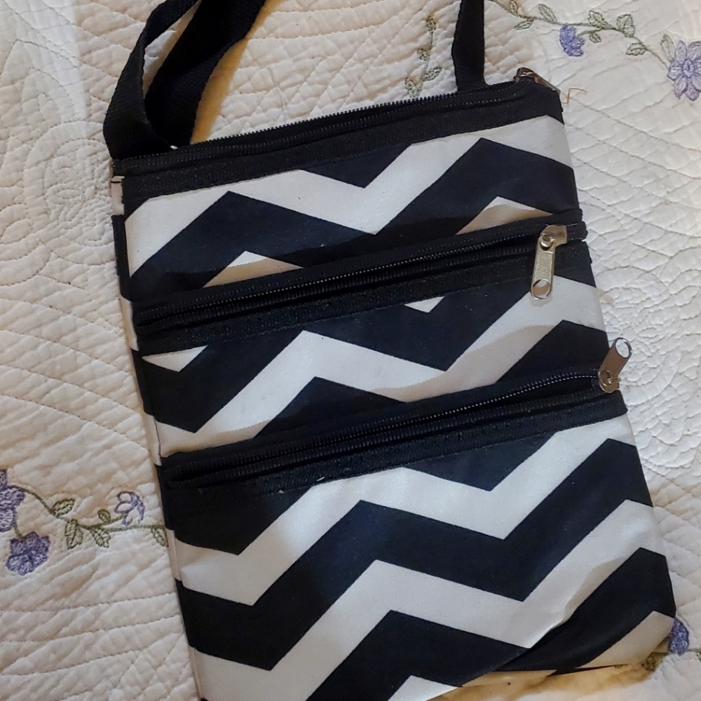 Zebra Striped Clutch purse